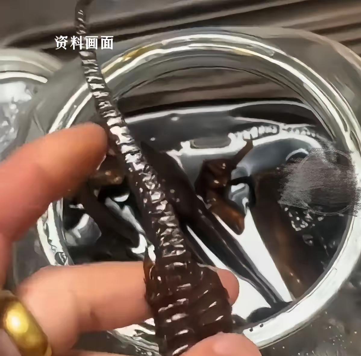 广东梅州有位老爷爷，把一瓶泡了十年的"海马酒"当宝贝供着，结果被孙子不小心打翻了