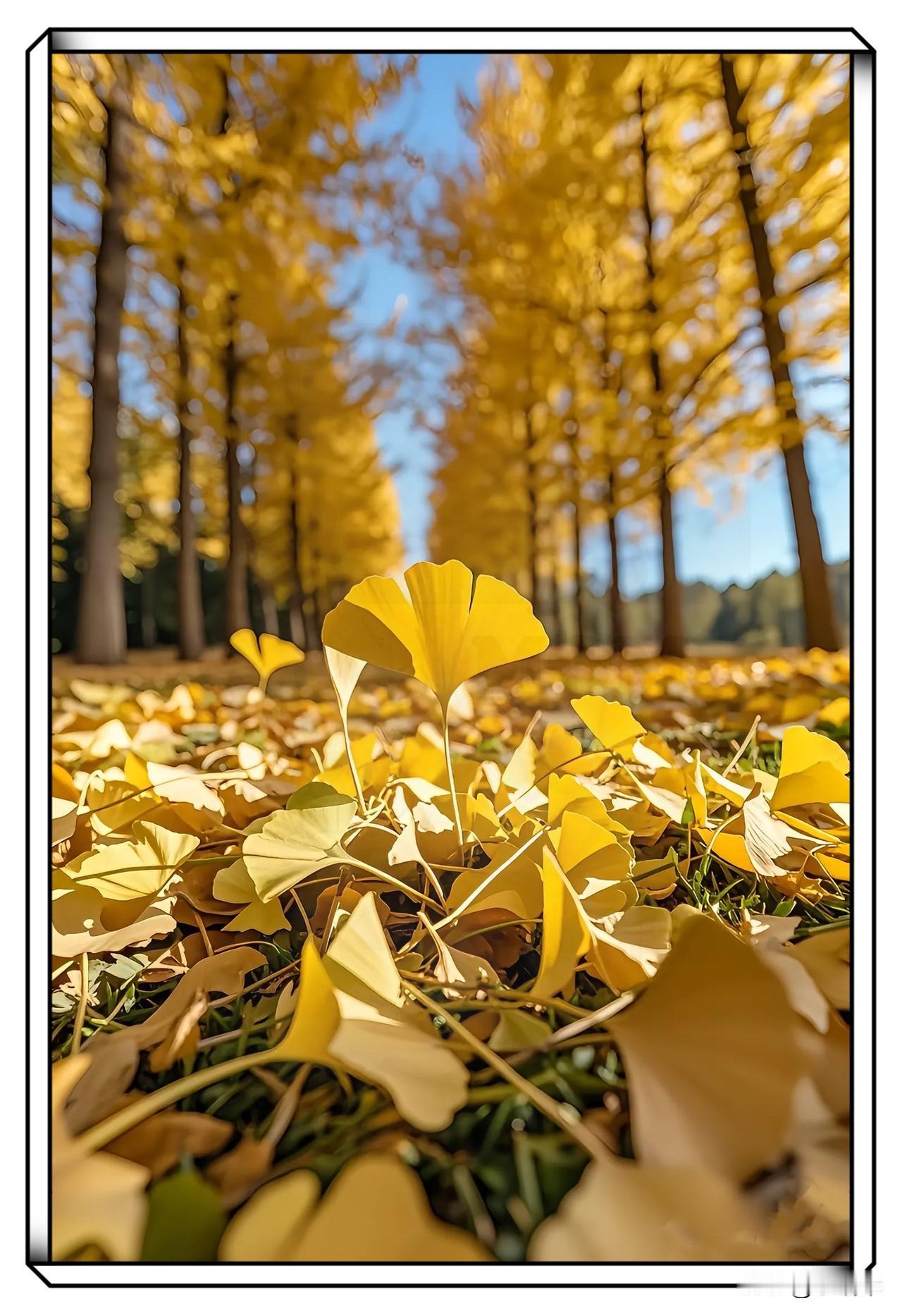 遇事沉着冷静、待人温润如玉、让人如沐春风的人，谁还没个火大的时候？但