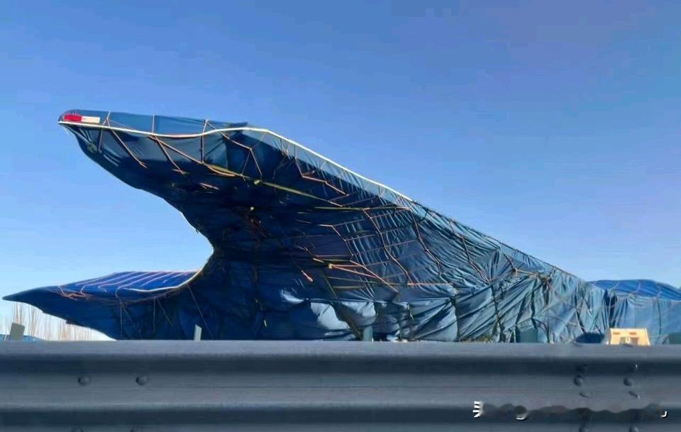 破案了，粽子机原来是沈6改比歼35大出三分之一的体量，意味着载油量和载弹量