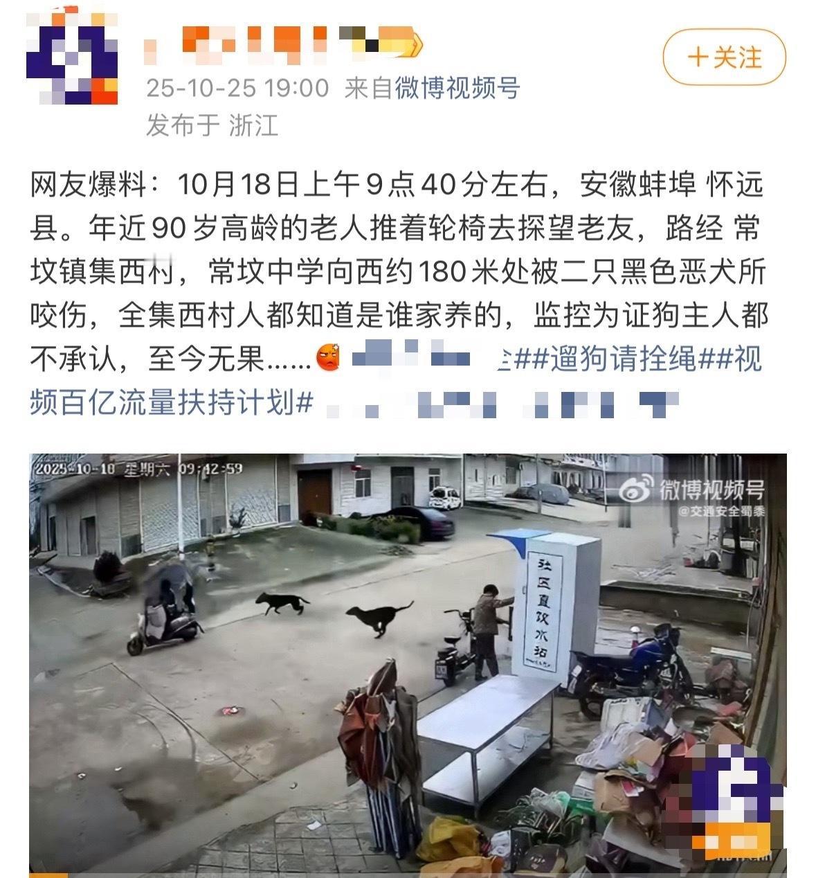 狗咬了猫，处理。狗咬了人，.......3名未成年购猫让猎犬追捕已立案