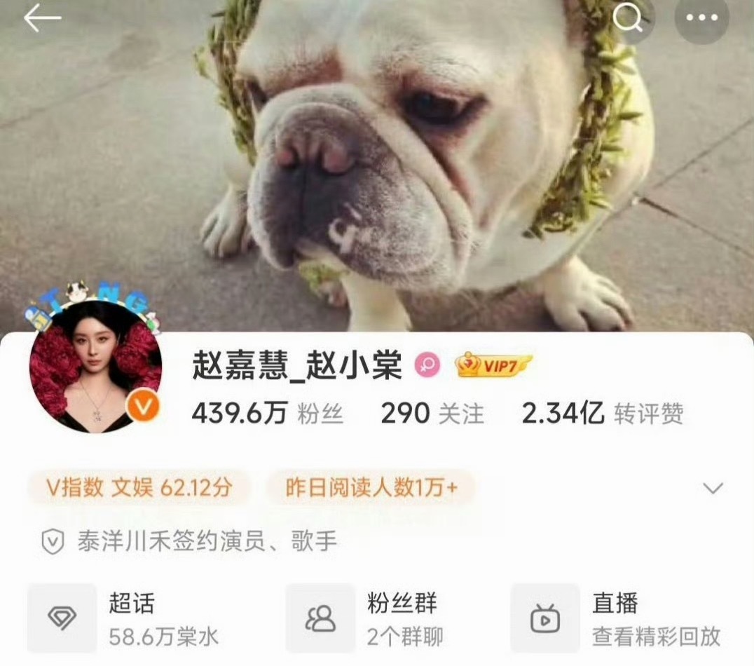 把明星真名都加上了真用力过猛了吧