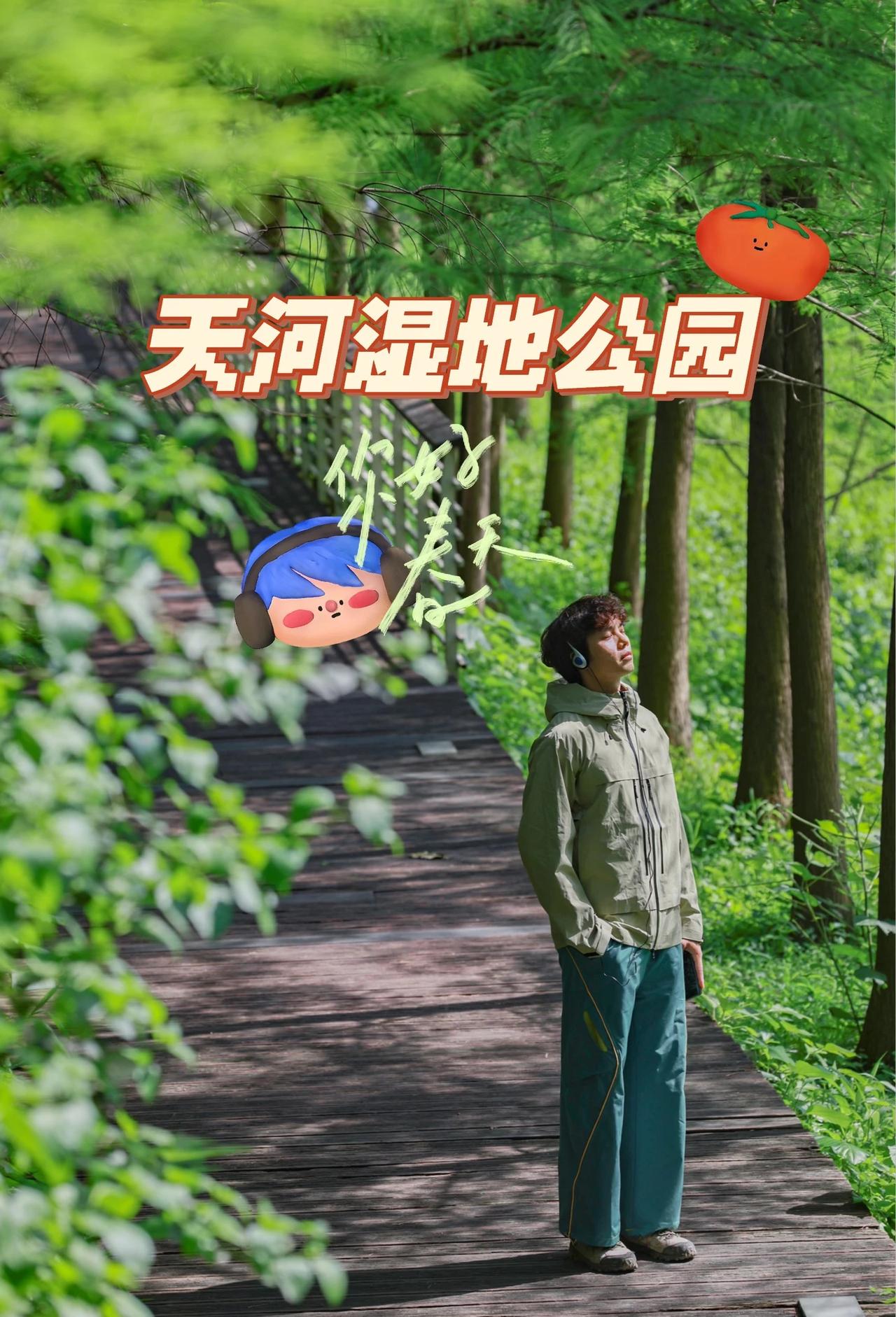 ✨广州天河湿地｜0元get森系少年感大片🌿落羽杉的光影在木栈道上跳舞，连风都