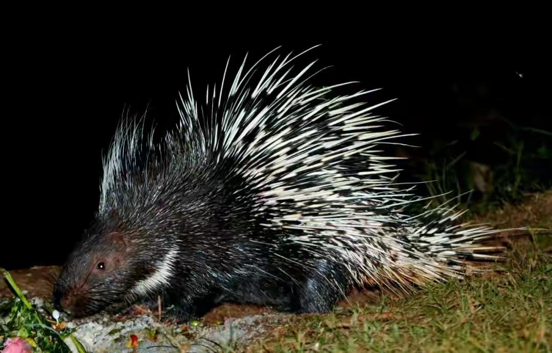 赖清德在今天（12月28日）的专访中叫嚣：“并吞台湾是中国的国家政策，只因实力不