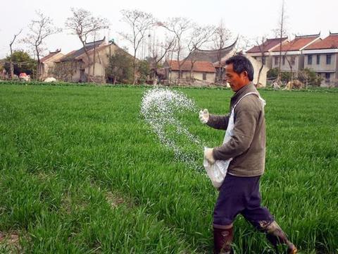 单干之后，有多少人靠种地发了财？单干的目的，就是让农民都有田种，不是要种地发财。
