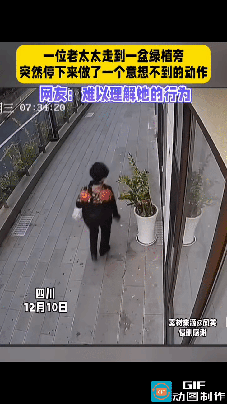 老太太走在人行道上，看到路边摆着一盆绿植，主人家大门紧闭。老太太走到绿植前方，