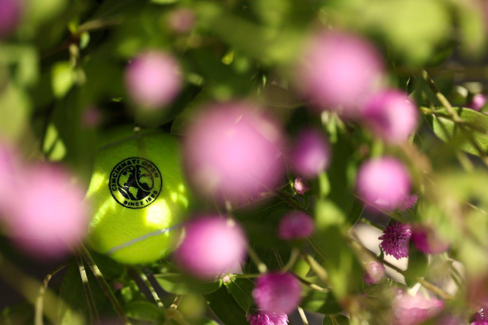 ATP1000辛辛那提大师赛今晚将进入第八比赛日的争夺，以下赛程均为北京时间?