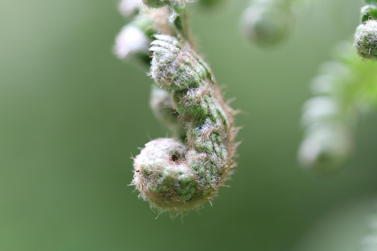 派拓网络三周烧掉100万美元的Token费，直接给Anthropic新模型的价格