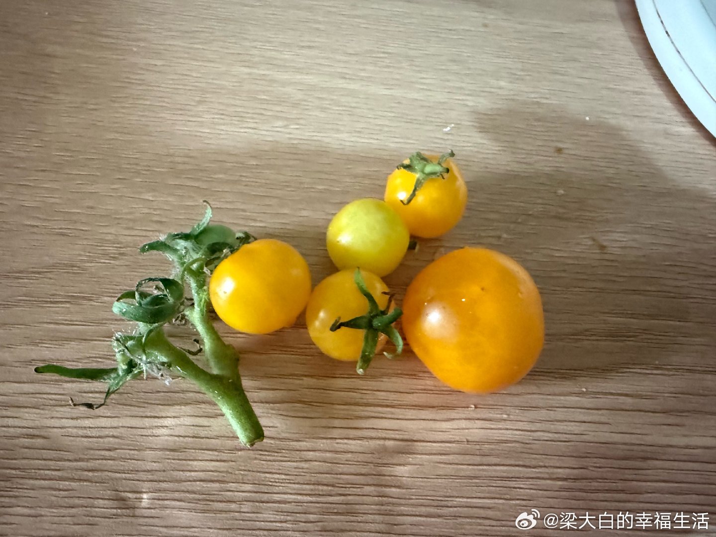 非常不好吃