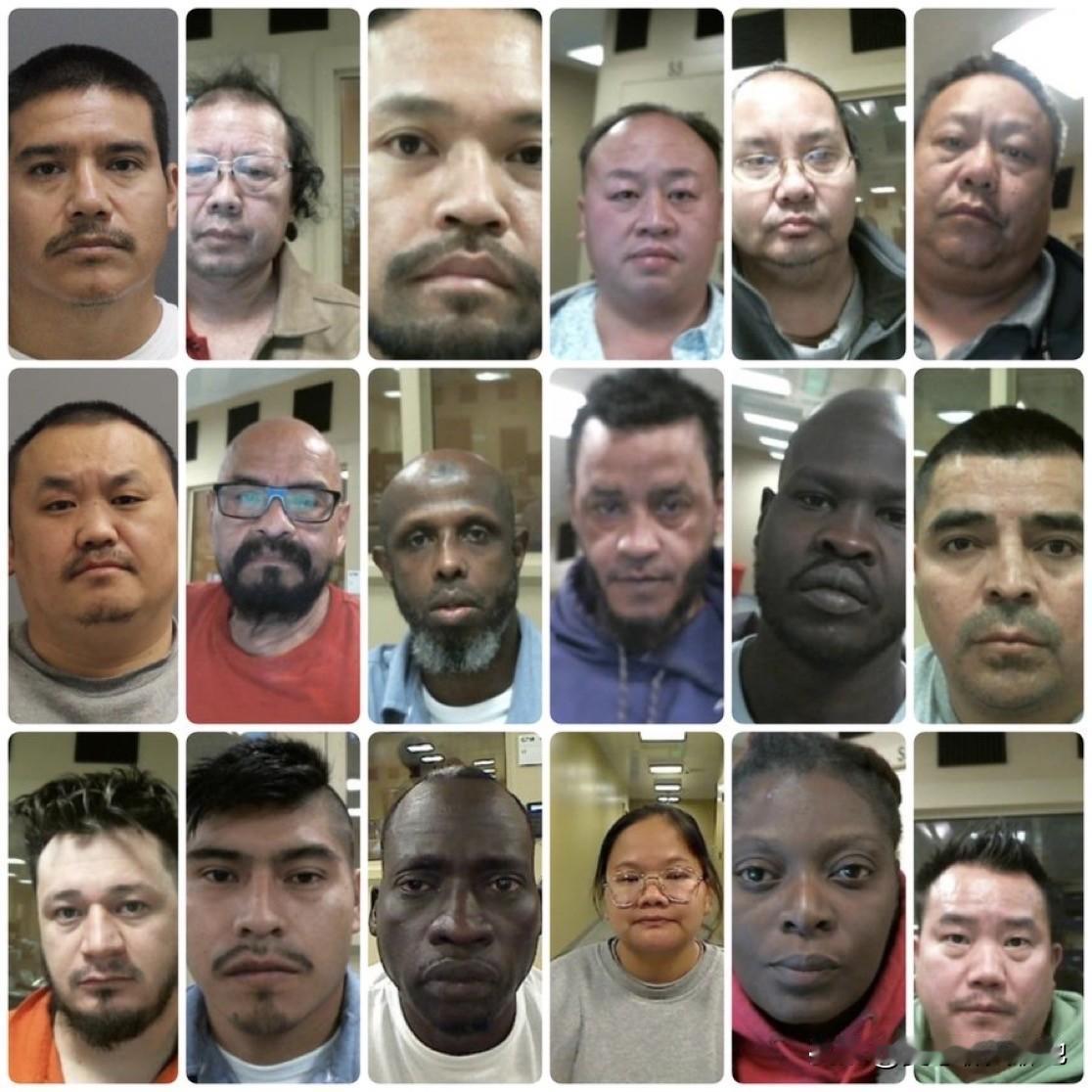 美国移民及海关执法局向《福克斯新闻》提供了一份名单，列出了他们在明尼苏达州大规模