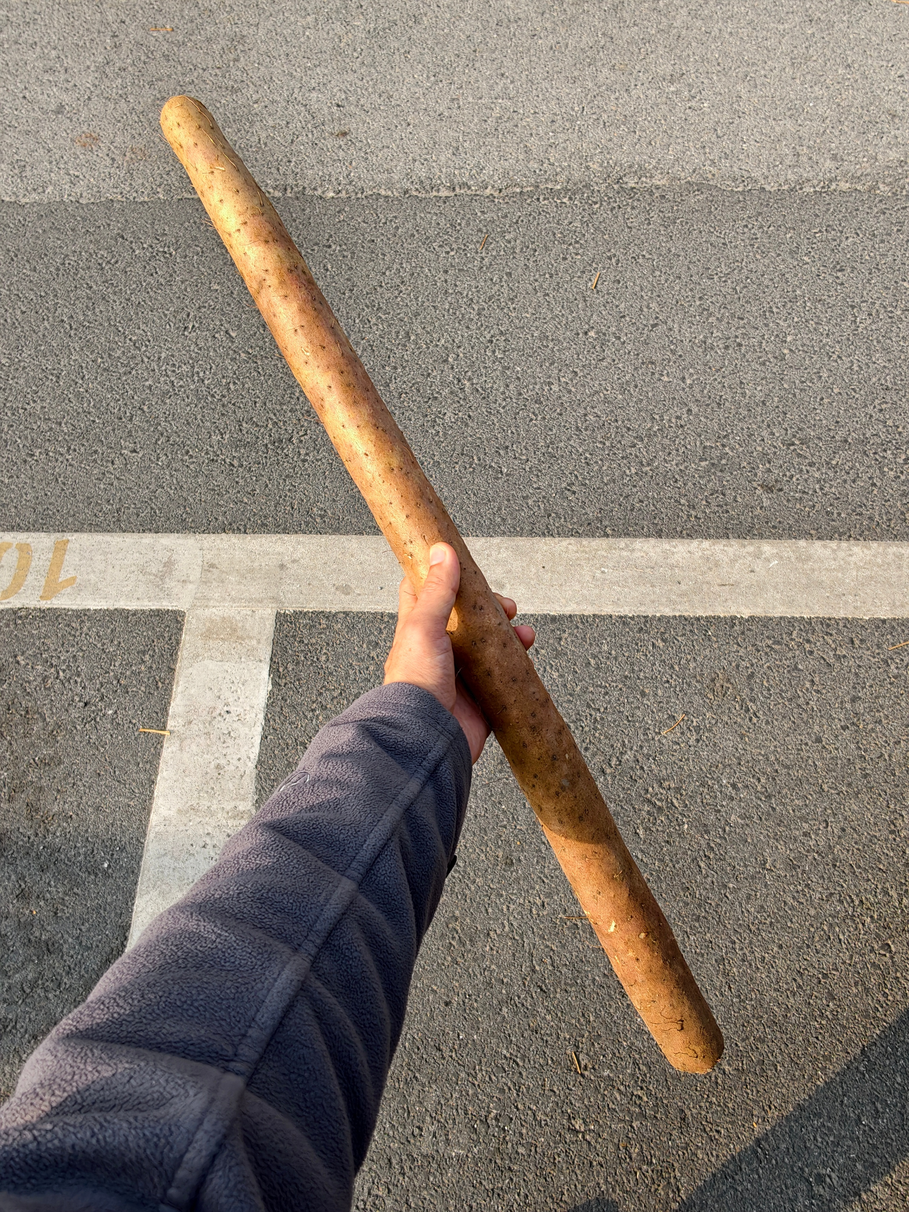 第一次见这么粗的山药