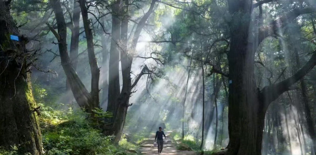 人觉的自己遇见了一个很好的人，其实是因为这个人把自己更好的一面给激发了出来。人生
