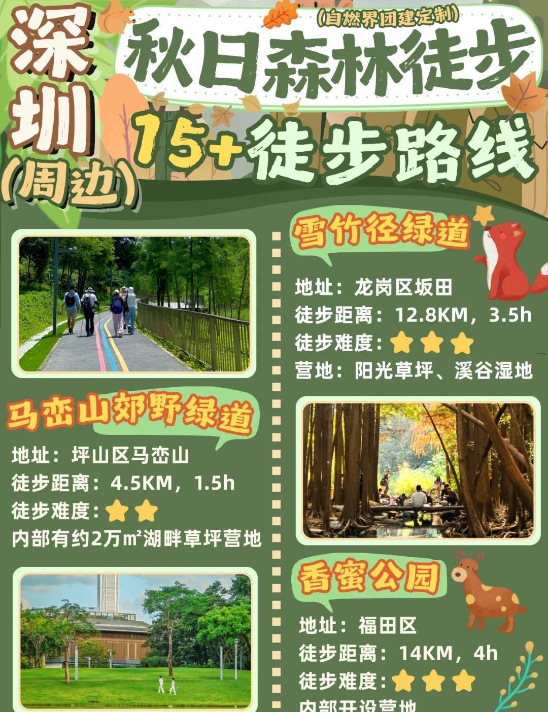 精选15+深圳周边轻徒路线✅打工人🐴住双十一不要买买买啦！出来找个🌳森林