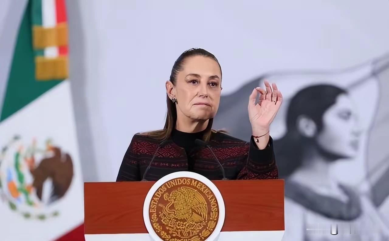 墨西哥对中国产品加征关税中国启动反制调查美国2025年发布国家安全报告，承认