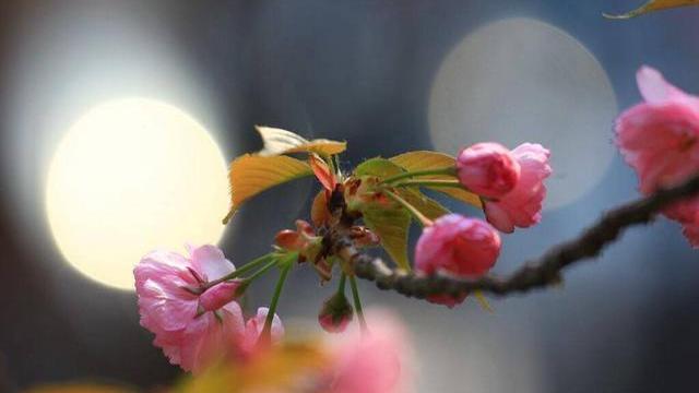 这人世间的“报应”,基本要在人到晚年之后,才逐渐出现