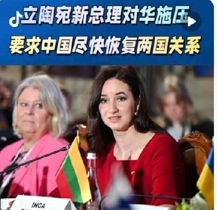 自己酿的苦酒自己喝吧！同样是欧盟国家，爱沙尼亚、匈牙利和立陶宛的日子简直天差地别