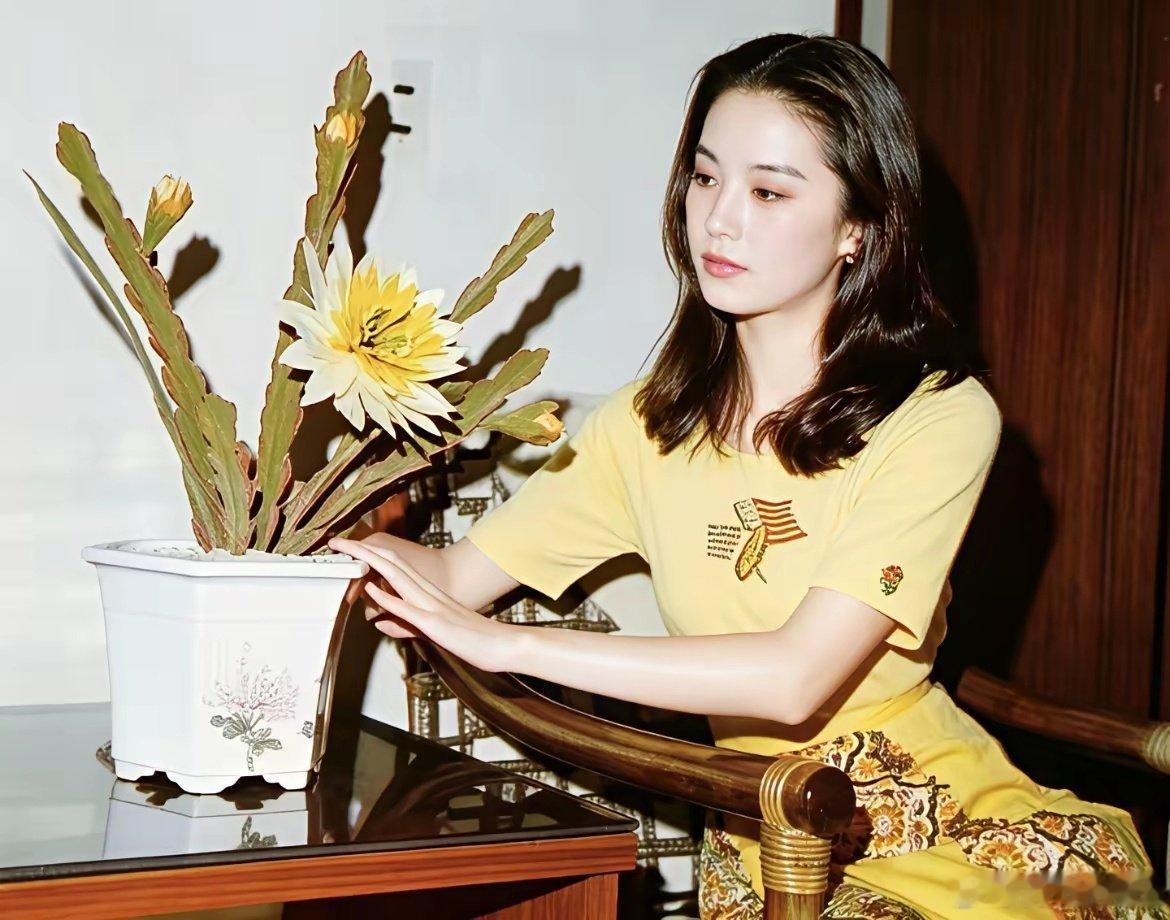 曾有导演说她是香港五十年一遇的美女