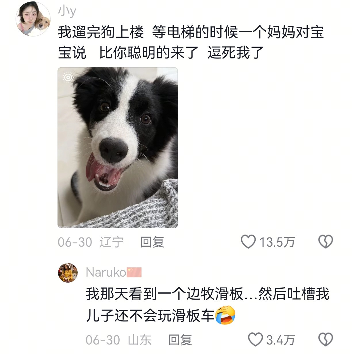 只有养狗人才懂这一刻的救赎感