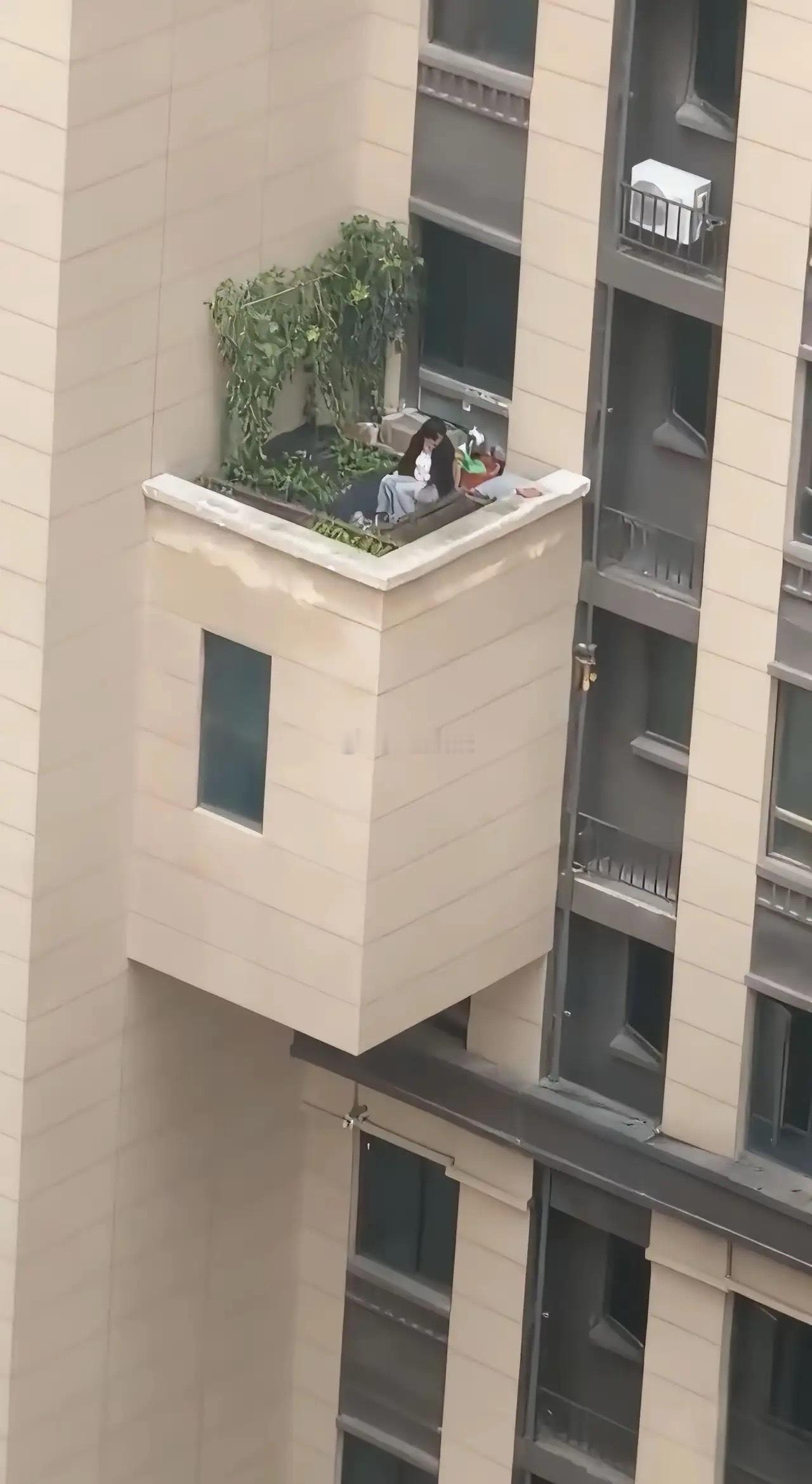 中国人民对种菜的执念