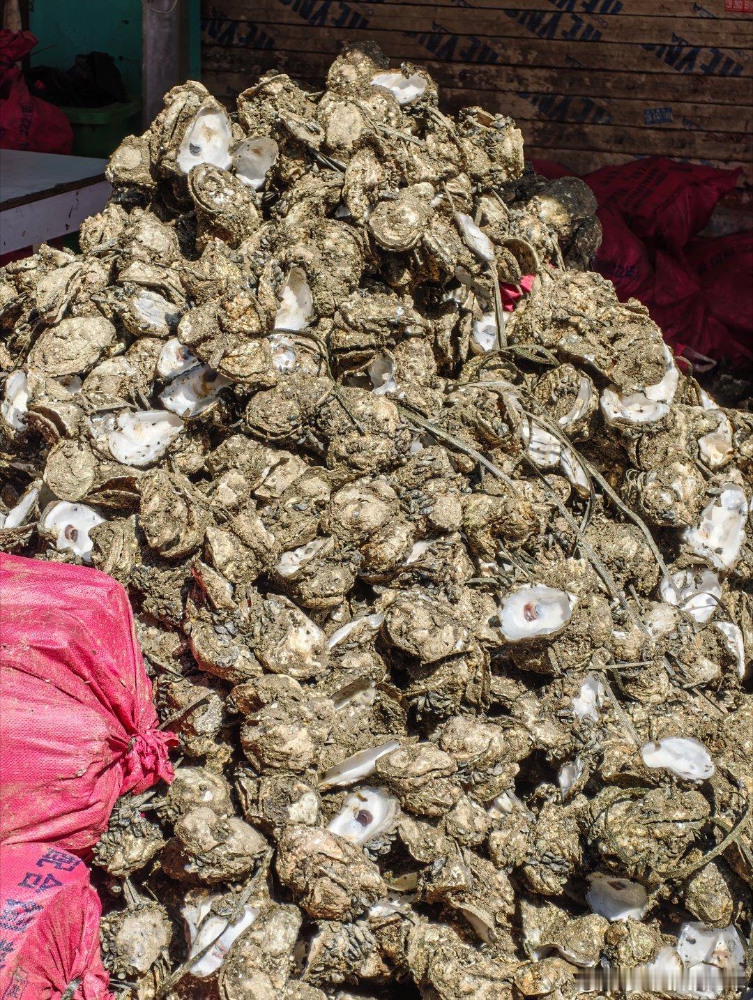 过年的味道过年的味道就是老家的晨州生蚝肥了，是汕尾过年餐桌上必备的菜肴之一。不