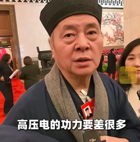 记者提问：自然天雷劈出来的木头，叫雷击木，那如果用高压电，可以吗？全国政协委