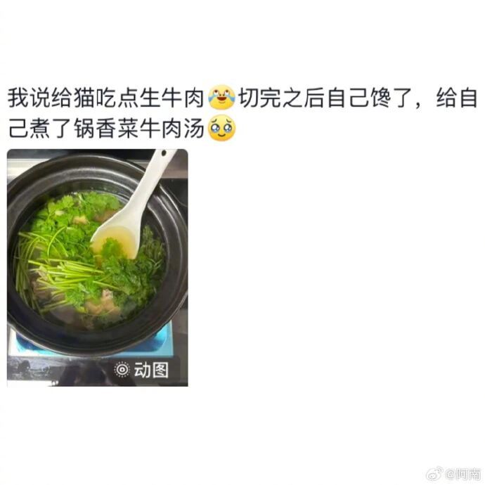 当给宠物做零食时自己馋了，诶呀真香！