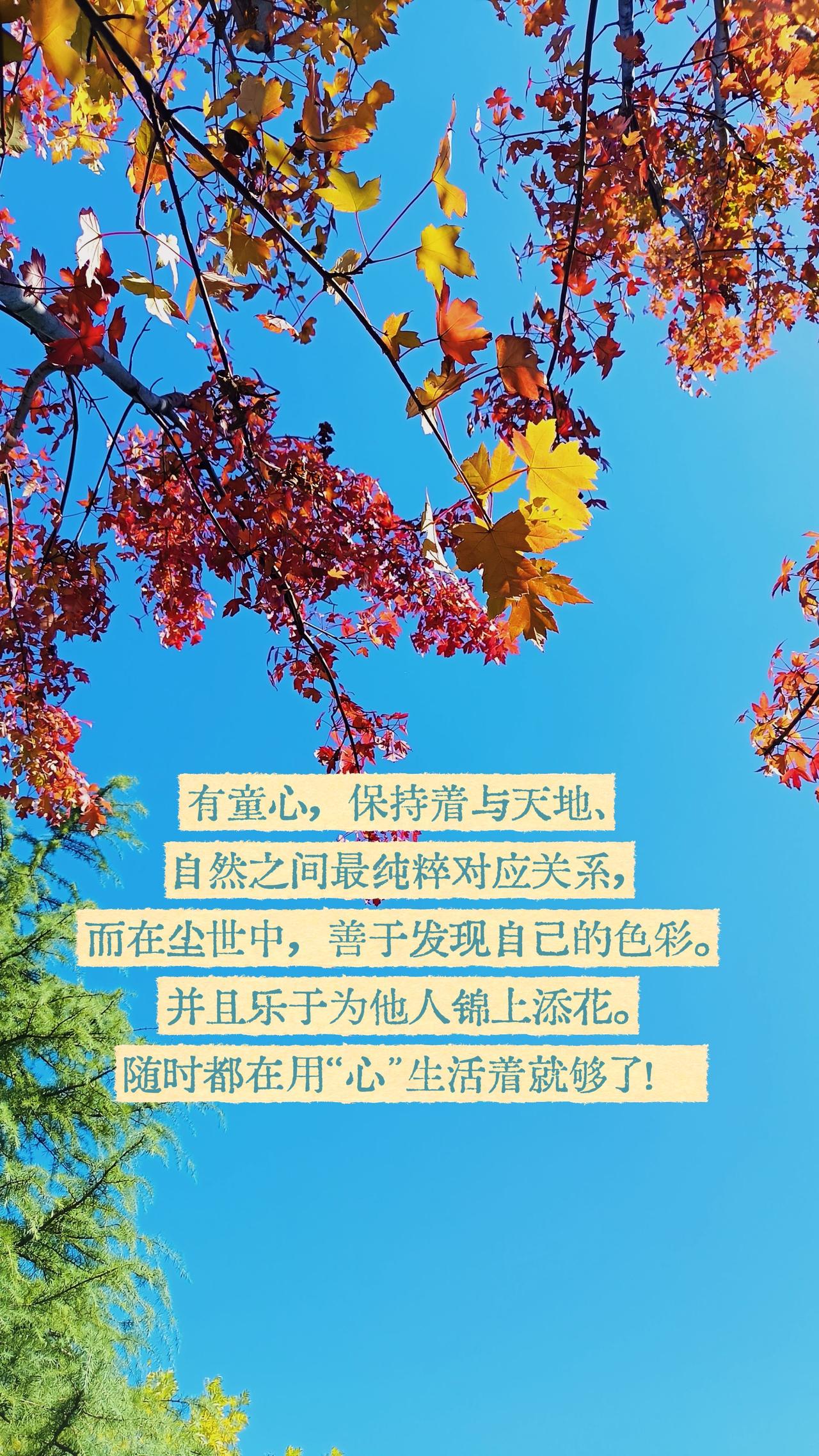 还有多少人具备童心？有童心，保持着与天地、自然之间最纯粹对应关系，而在尘世中，善
