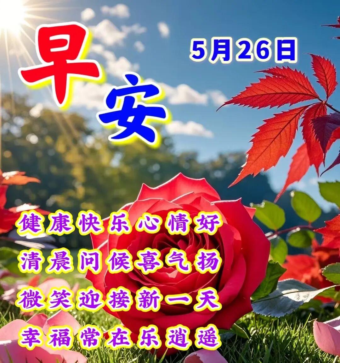 每天给自己一个希望，不为明天烦恼，不为昨天叹息，只为今天更美好；每天给自己一份潇