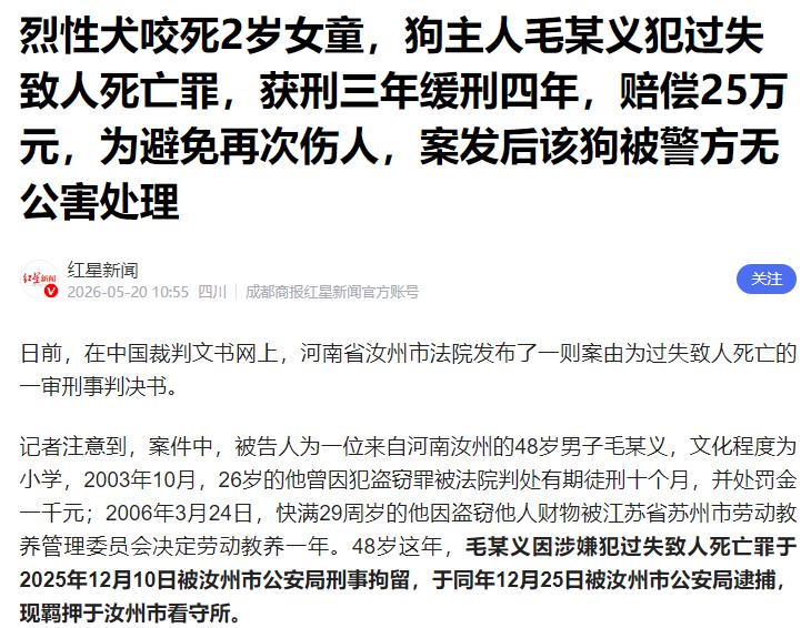 河南汝州，2岁幼童惨遭禁养烈性犬撕咬，当场惨死，场面令人窒息！谁能想到，狗主人不