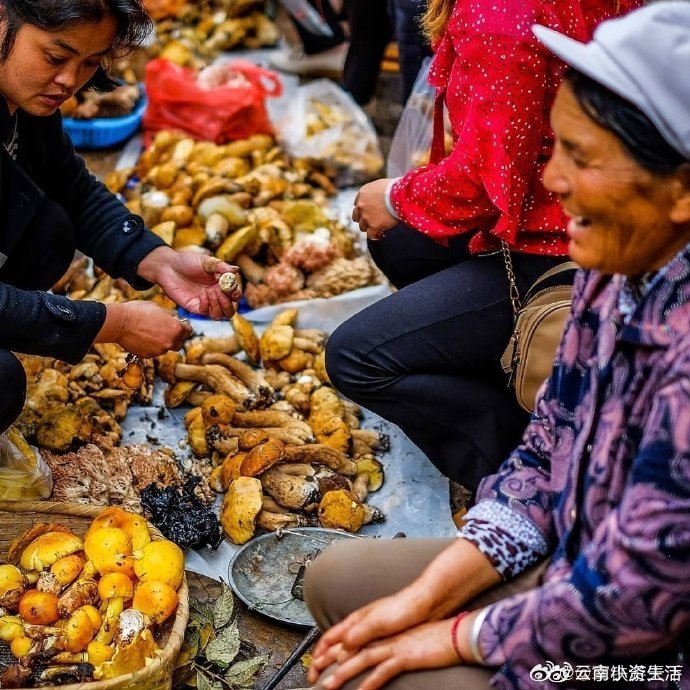 云南沙溪古镇～民风质朴恬静！via:拿铁游天下via:主题乐园旅