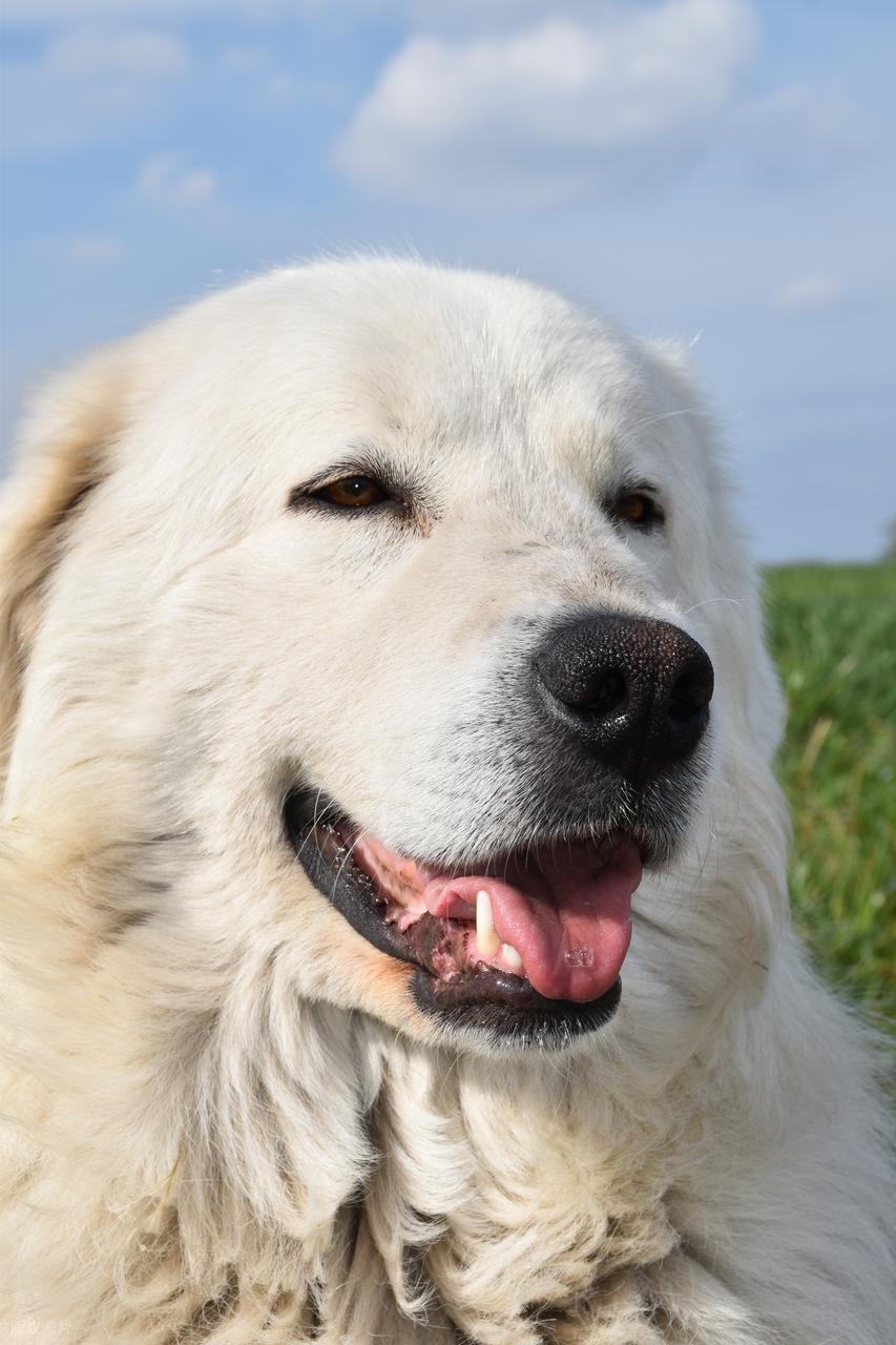 明朝传奇故事明朝洪武以来，有粮长职务。所谓粮长就是负责督管里长收粮等任务的一个