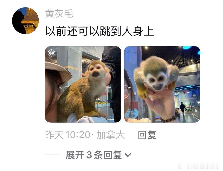 这才是动物表演该有的样子（