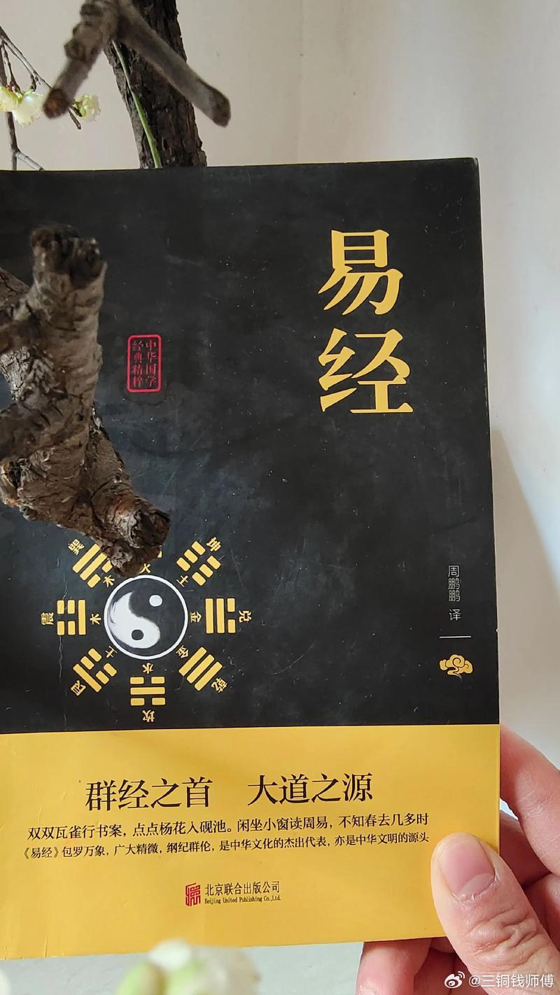 壬戌（日坐七杀+财库）戌藏戊（七杀）、辛（正印）、丁（正财）。七杀代表有权力、魄