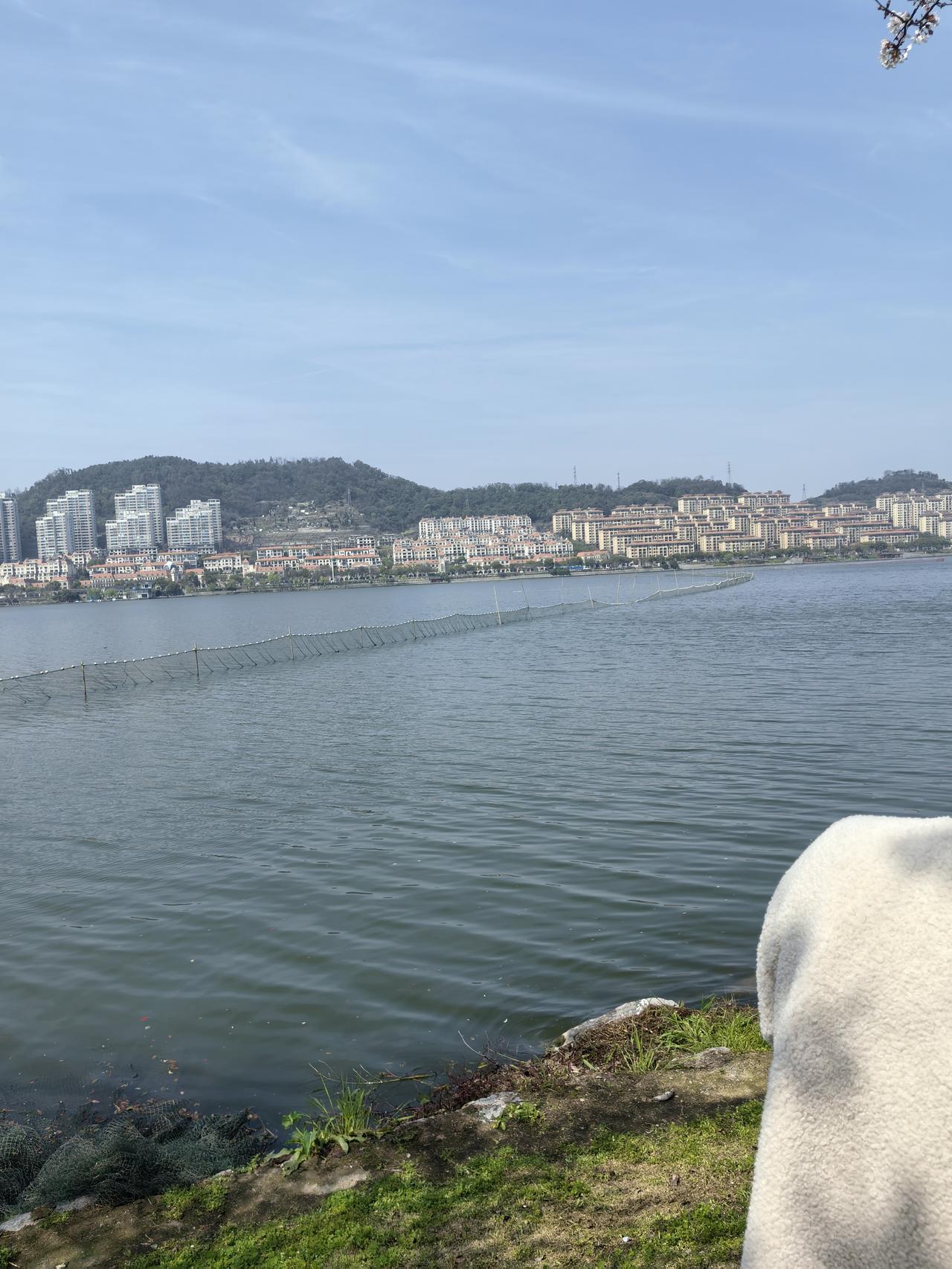 中国核聚变研究已稳居全球第一方阵，部分领域实现领跑。衡量核聚变研究，关键看装置高