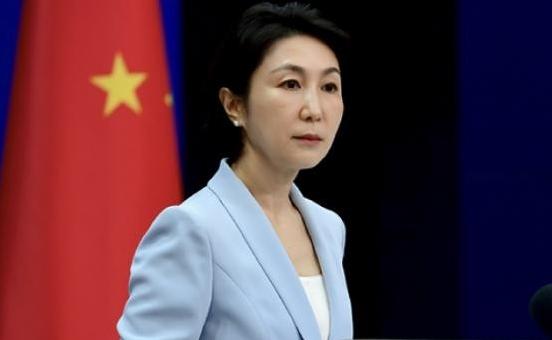 想象中的撤侨行动完全破灭。日本战争防御严密，中国军舰一旦闯入东京湾就会被打击，侨