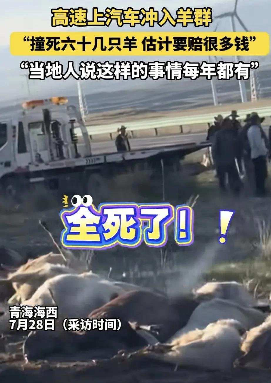 赔大了。青海海西，一男子驾车行驶在京藏高速途中发生堵车，而当其行驶到前方堵车源头