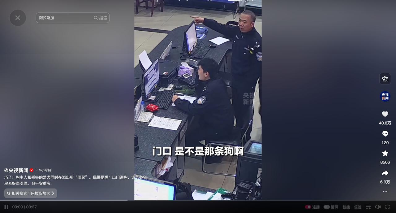 “笑不活了！”重庆一条一百来斤的阿拉斯加犬走失，女主人焦急报警，民警刚打开监控，