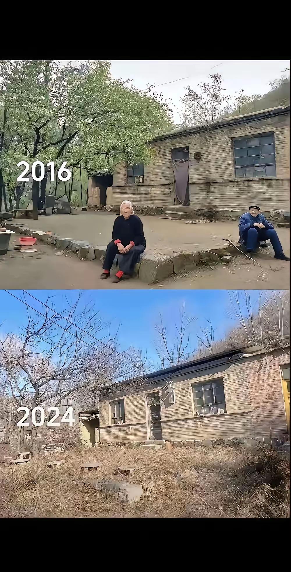 在农村，一旦老人走了，原本生活的地方就荒废了，没几年杂草都会长的此人高……