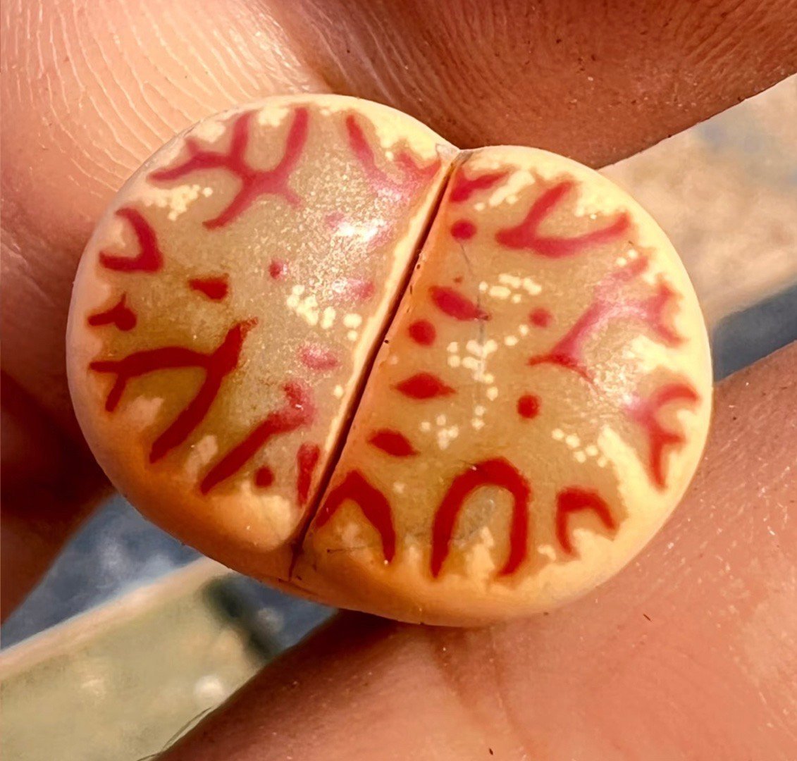 原来这才是女孩子应该看的生活冷知识