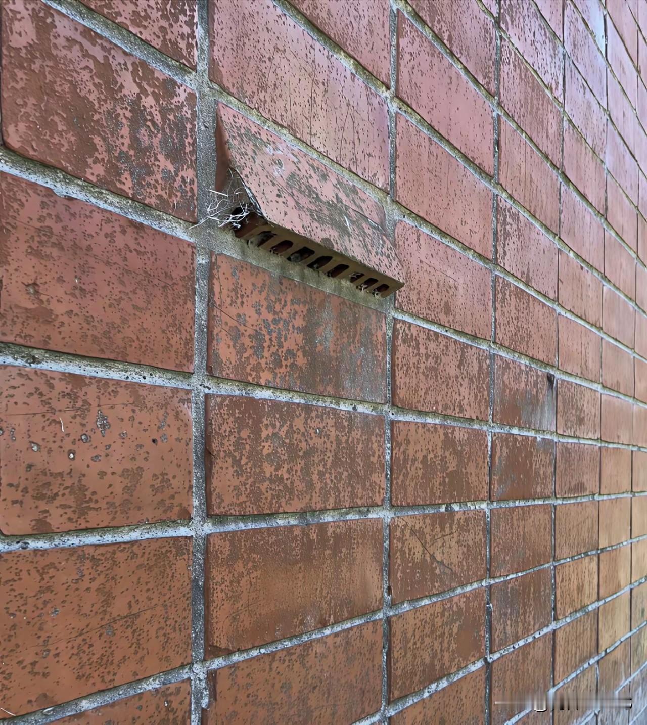 这块砖为什么这样放呢