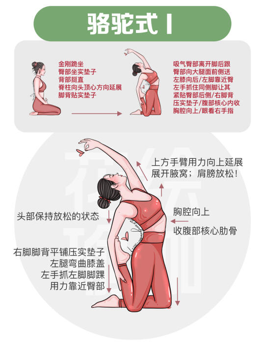 瑜伽体式