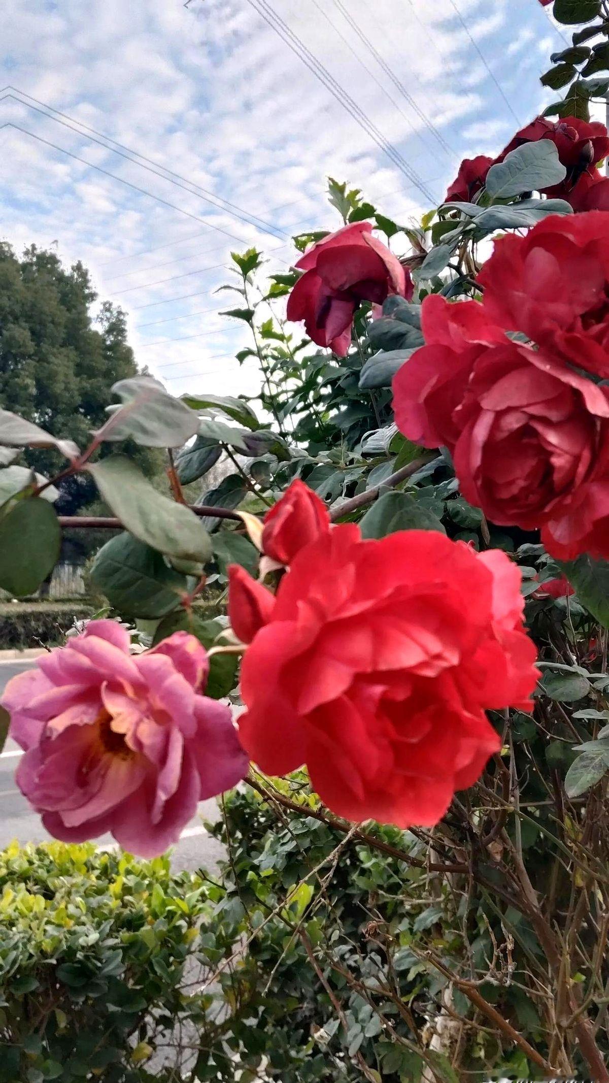 女人会不会得妇科病，病情如何，主要取决于她嫁的是什么样的老公。那个只属于她的男