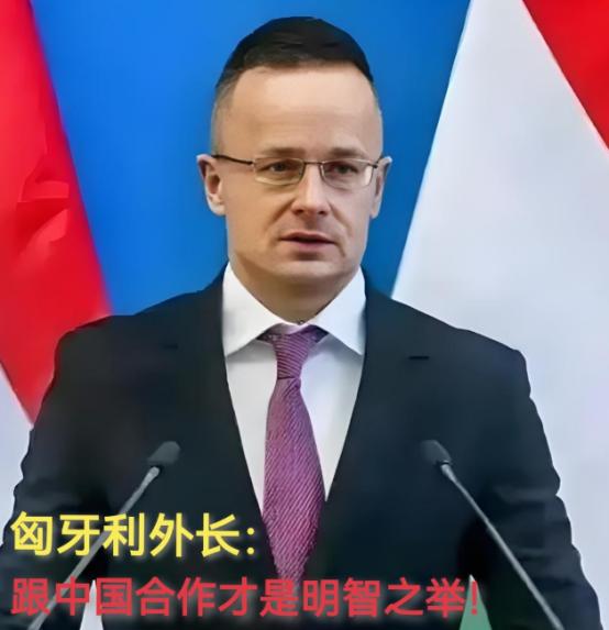 现在全欧洲最后悔的就是德国了吧！不是因为中国，也不是因为美国。而是因为匈牙利。