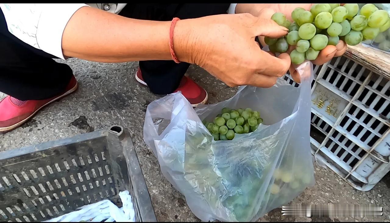 带着83岁老妈在云南弥勒躺平近两个月，算了一下每天的生活成本！房租：30元每天