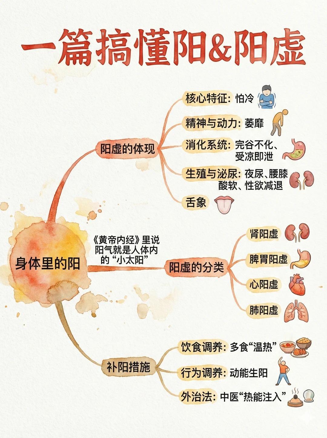 图解《黄帝内经》一篇搞懂阳&阳虚