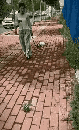 狗狗:有这么快是想累死我啊，就不怕我走丢了吗？