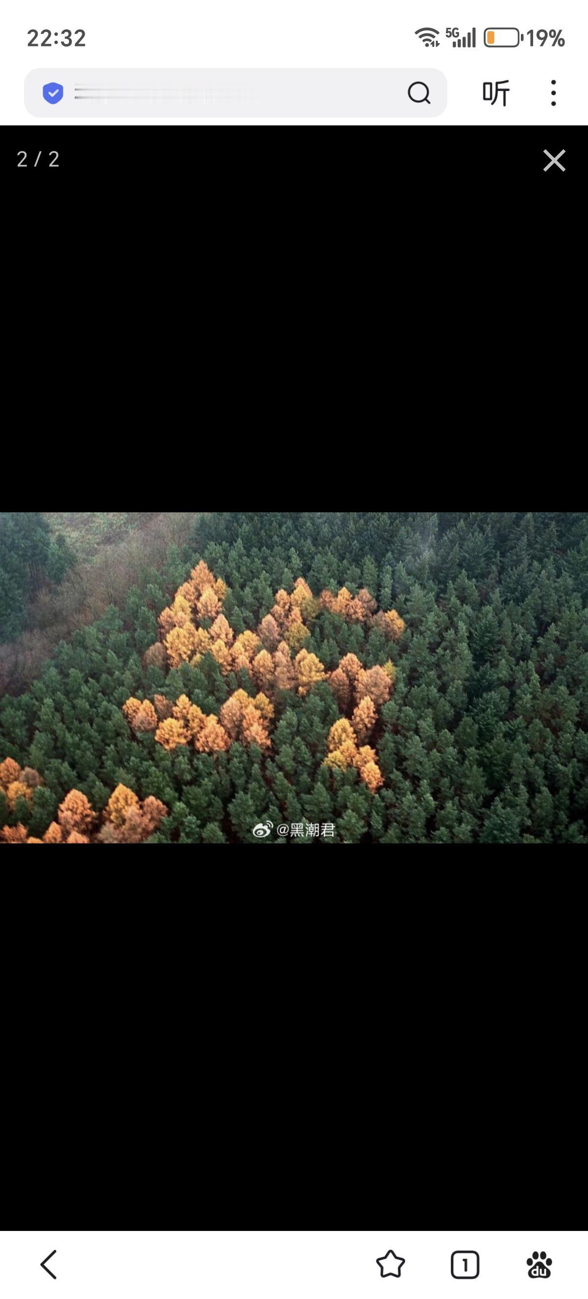 查了一下这个事情，应该说，确实有这些树，但是没有这种说法。这片树林是在德国?