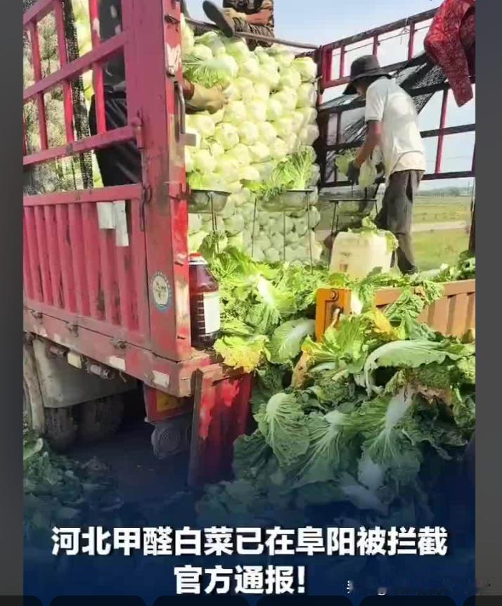【甲醛白菜丧尽天良！食品问题必须提高处罚等级】这次的甲醛白菜事件让人触目惊心