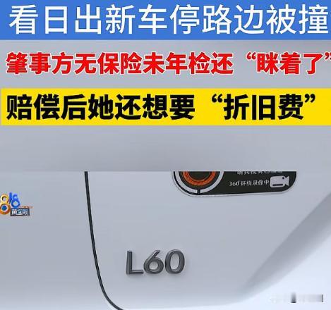 “差不多得了！”浙江杭州，女子花13万买了一辆乐道L60，3个月后，停在路边，被