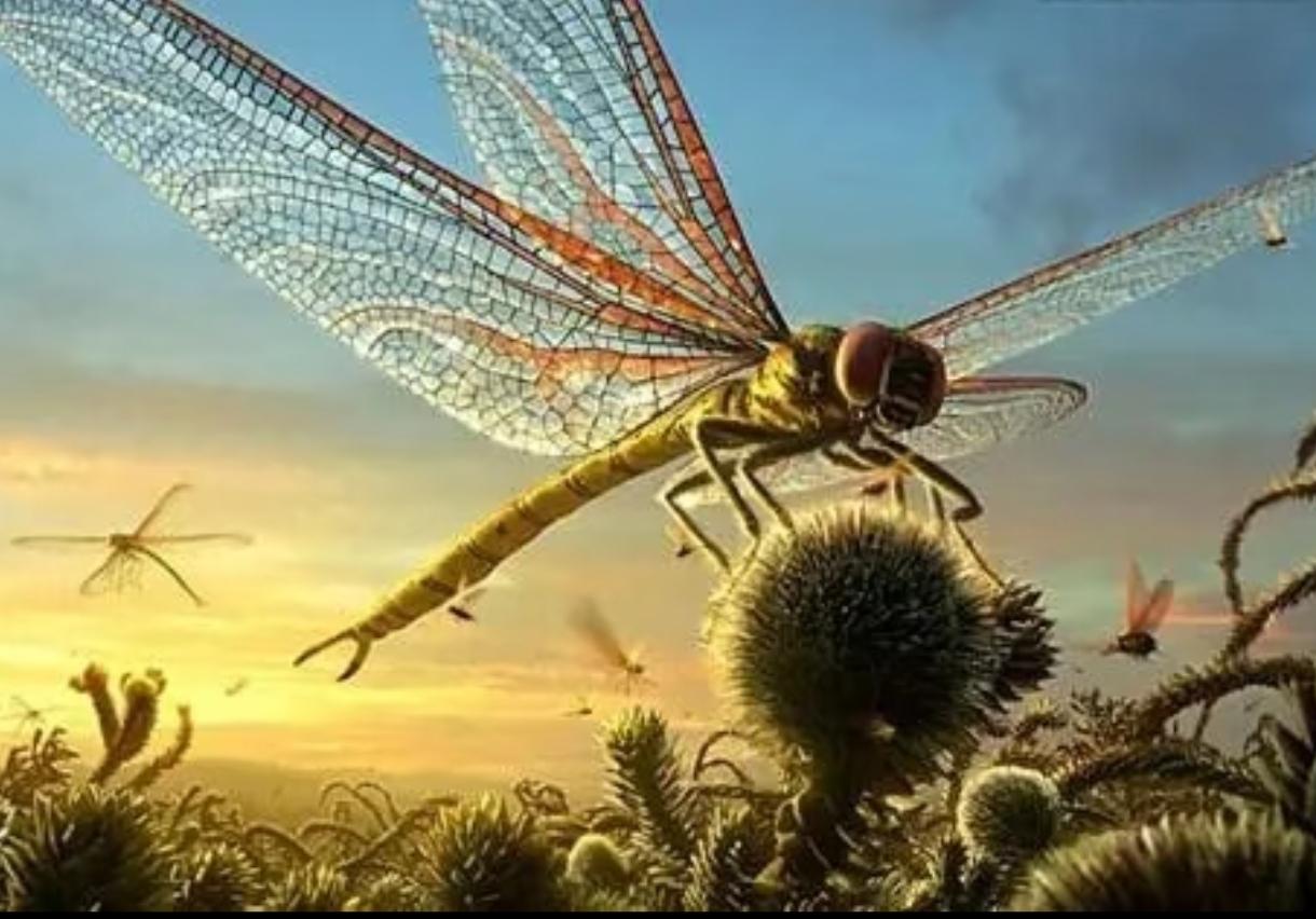 要是能穿越回3.5亿年前的石炭纪。你会瞬间从食物链顶端，跌落到最底端。70