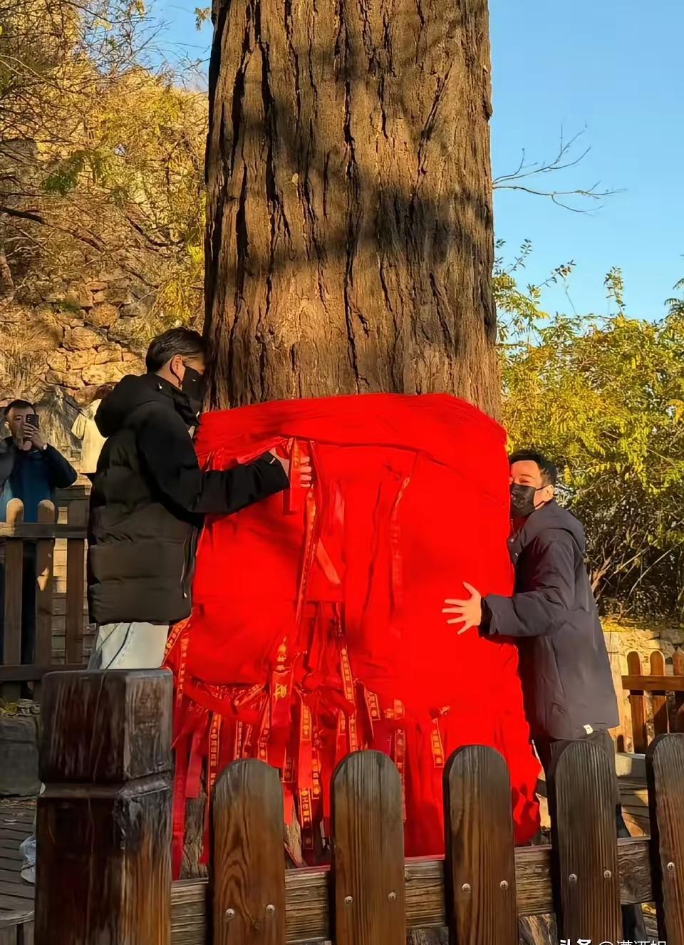 朱媛媛走了，五年没吭声，抗癌像过日子。辛柏青没说话，但眼神空了。李乃文蹲在边